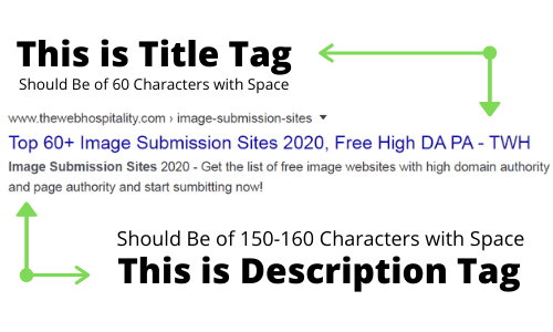 Beginner's Guide to SEO